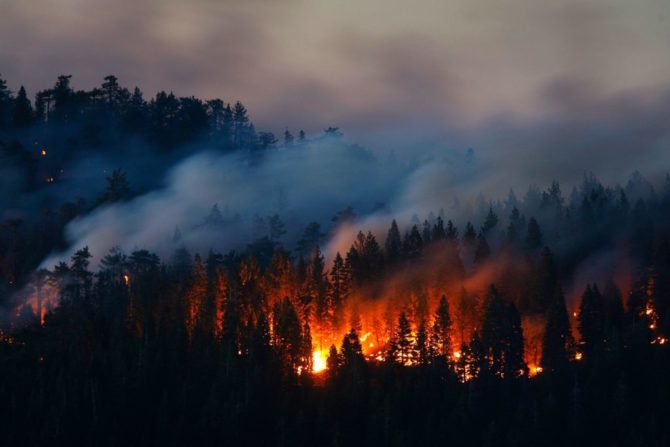 Житель Прикамья осужден за халатность, ставшей причиной лесного пожара